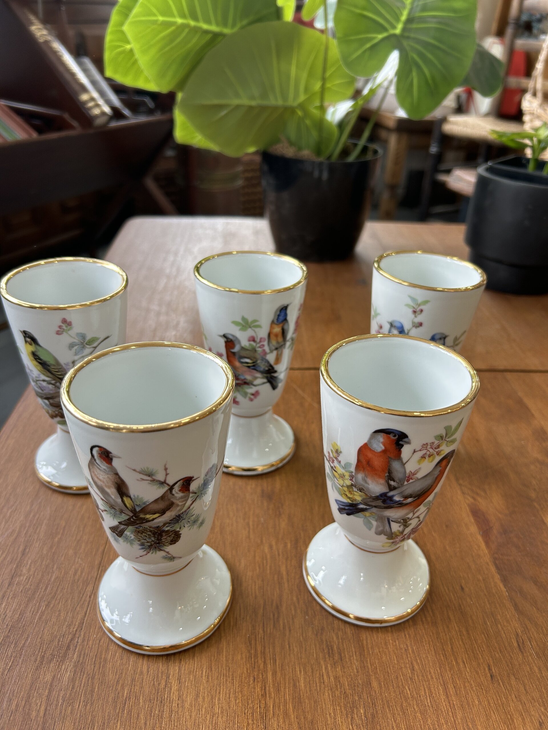 Set 5 Mazagrans Porcelana Decors de Paris - 2
